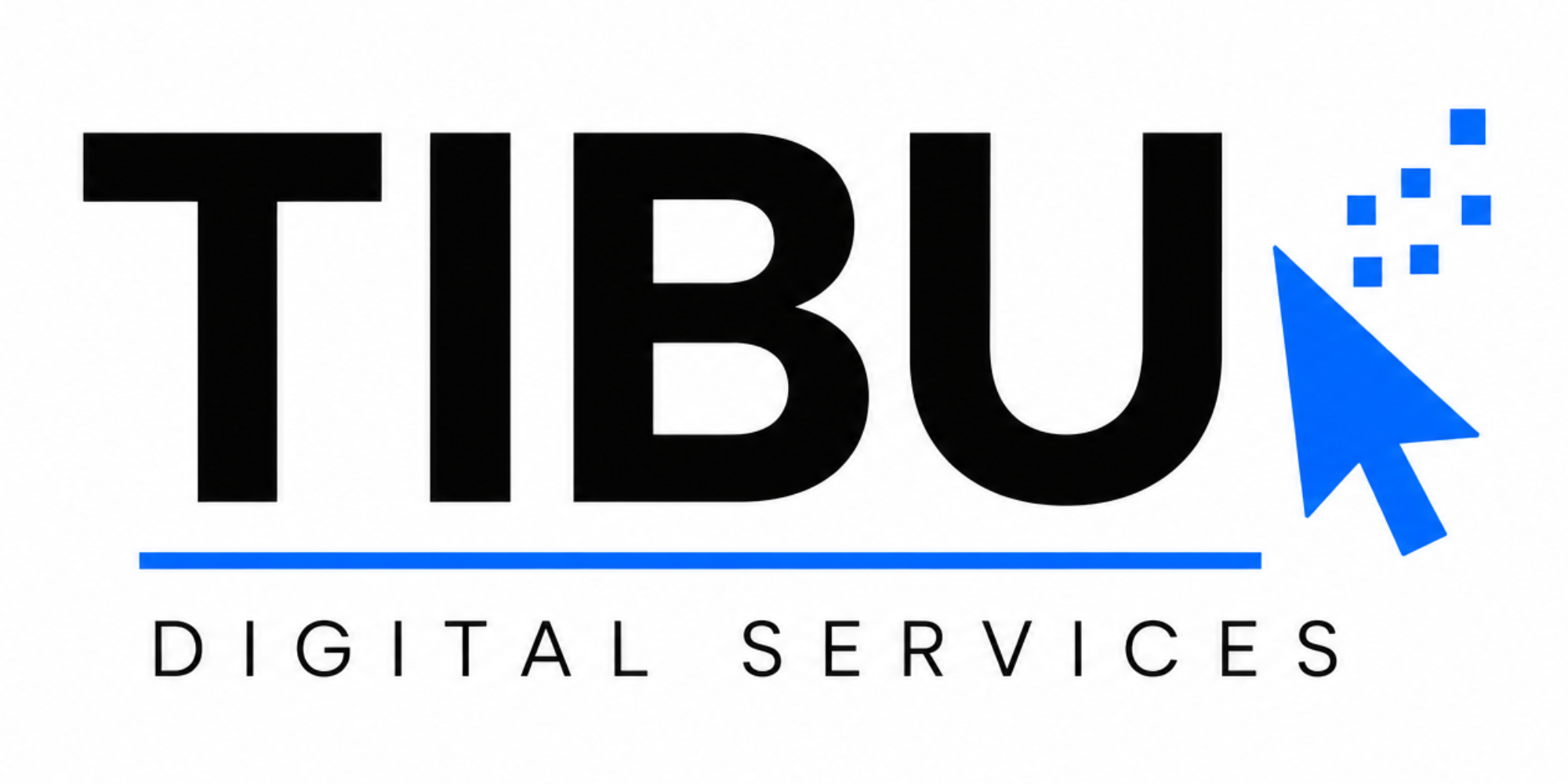 TIBU Digital Services logo